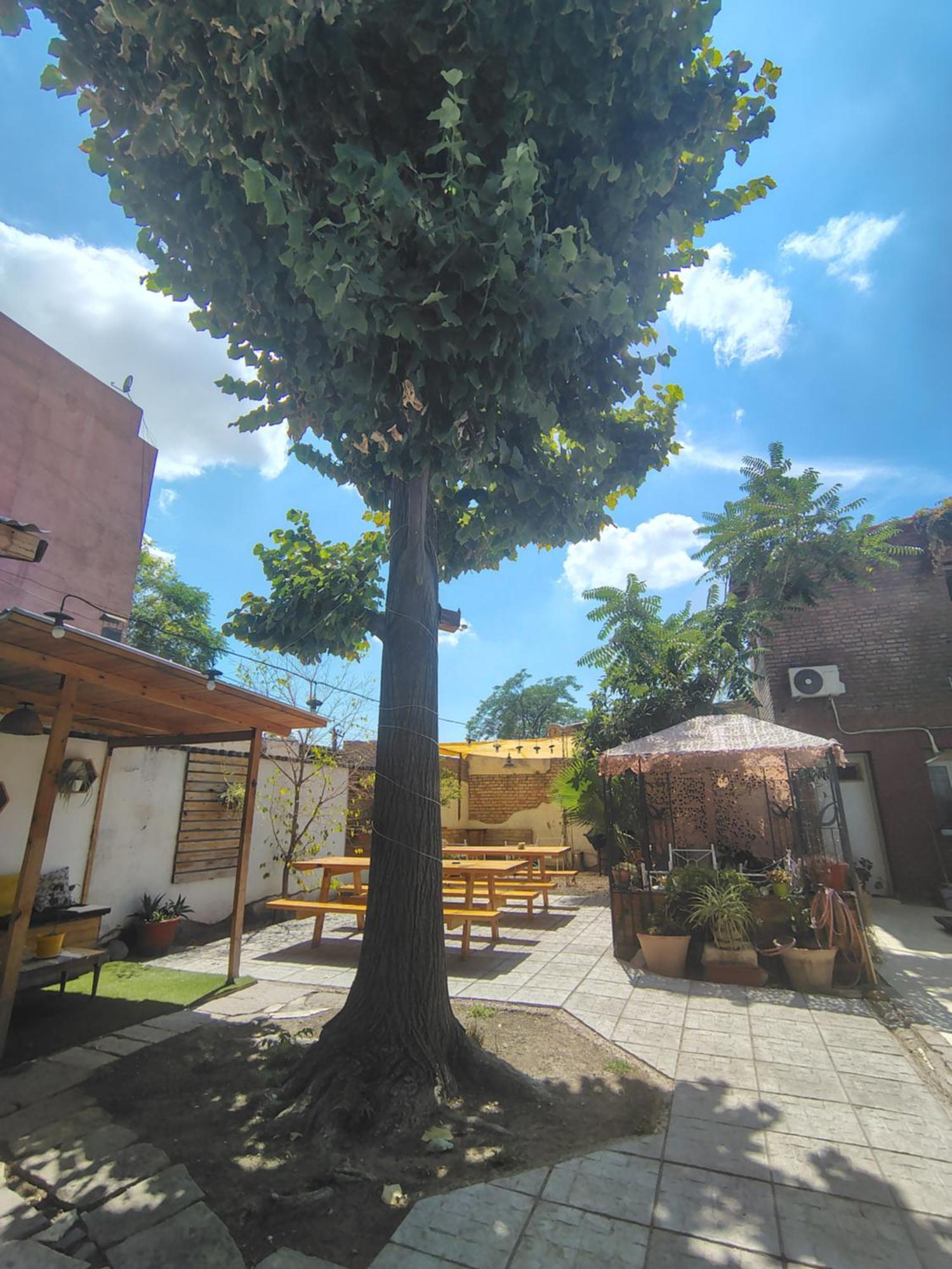 Mora Hostel 멘도사 외부 사진